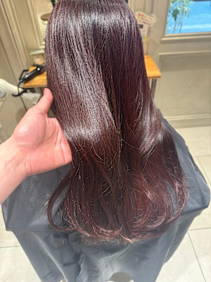 NEWTON 立川×スタイル