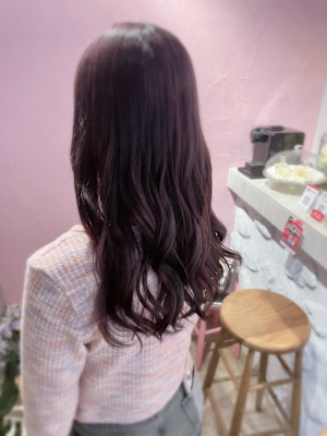 ピンクラベンダー