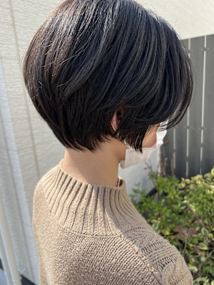 ショート／ショコラブラウン