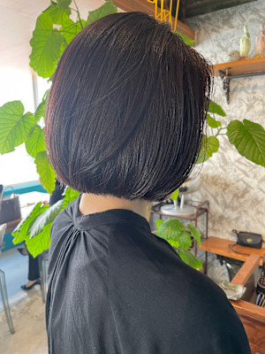 オーガニック「髪質改善」ヘナ＆ヘッドスパ