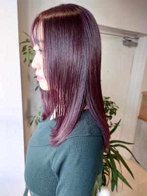 ミディアムボルドー