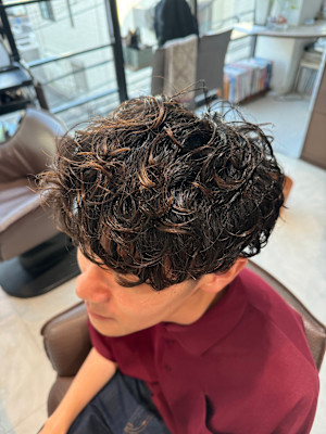 プードルパーマ