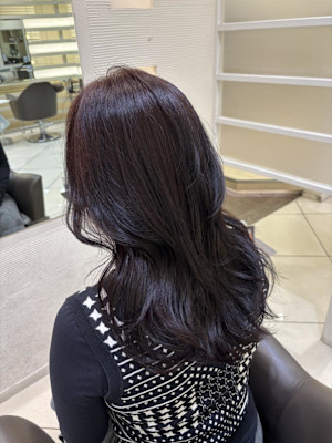 黒染め履歴からのレッドブラウン