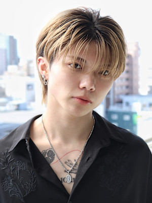 細束シースルーマッシュ