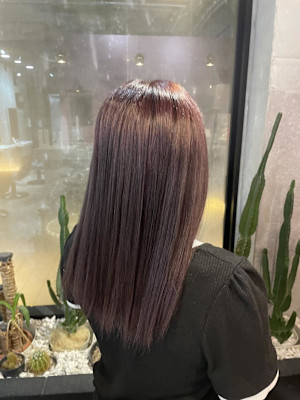 ピンクラベンダー