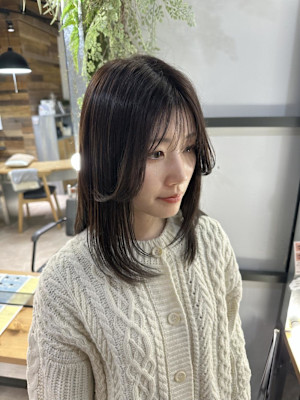 ミディアムレイヤー