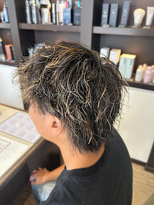 ツイスパメッシュ