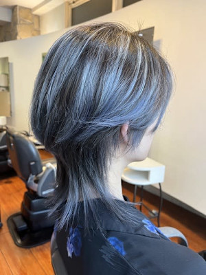 ブルーシルバーハイライト