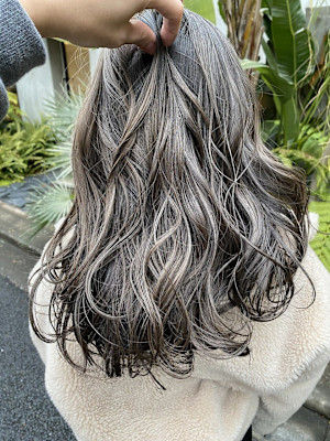 ハイライトカラー/白髪ぼかし/ハイライト