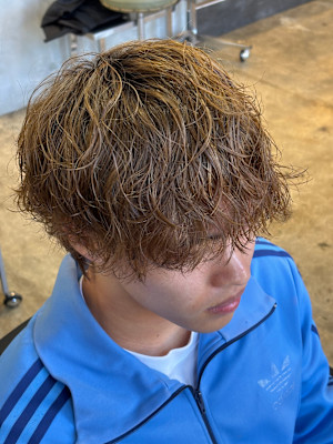 メンズウルフマッシュブリーチスパイラルシャドウパーマ