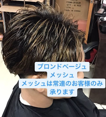 メッシュカラー