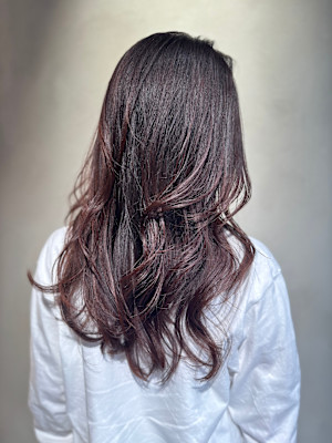 NEWTON 立川×スタイル