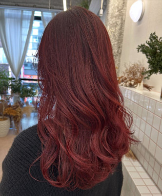 《花屋併設》カシスレッドカラー