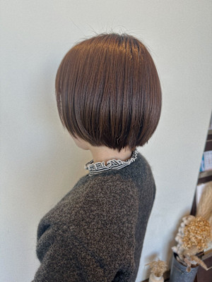 まとまるコンパクトショート