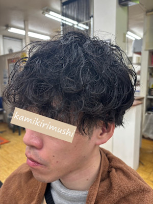 波巻スパイラルミックス