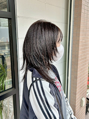 ハッシュカット