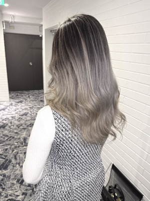 シルバーバレイヤージュ