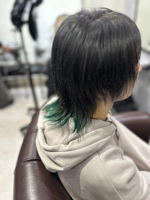 デザインカラーウルフ