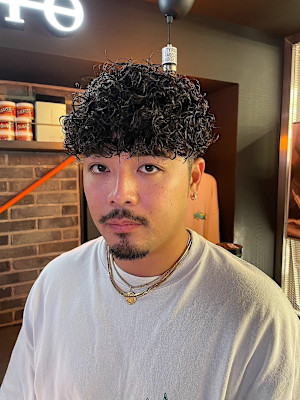 プードルパーマ