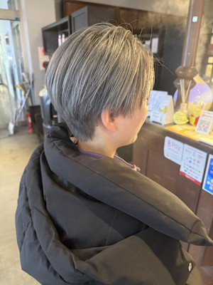 ダブルカラー/シルバー/透明感/ショート