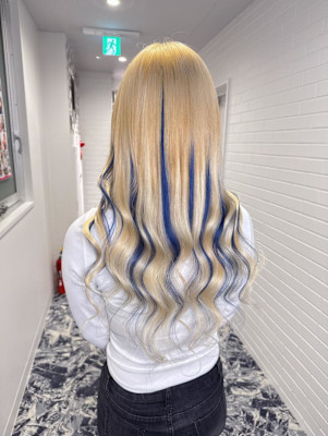 ブルーメッシュ