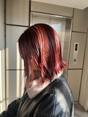 ボブ レッドカラー