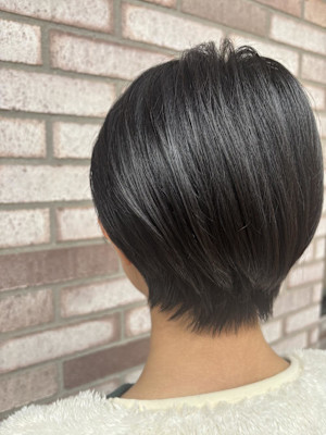 コンパクトボブ