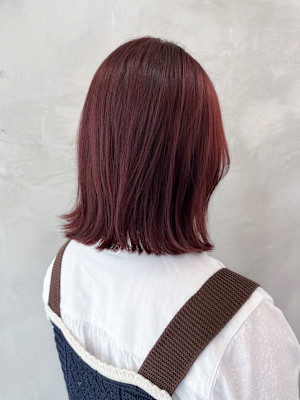 TORANK'S 札幌店×ミディアム