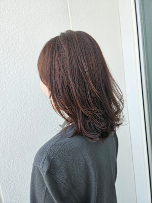 ミディアムレイヤー