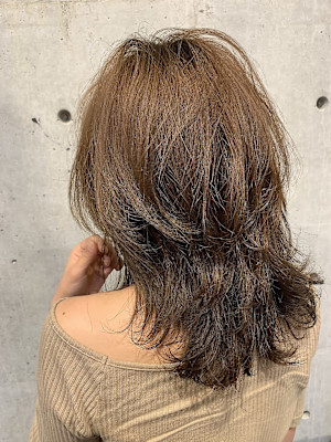 フォギーアッシュ ゆるかわ ウルフ♪