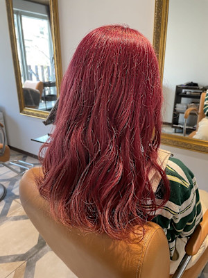 ブリーチ/ダブルカラー/ベリーピンク/ピンクバイオレット