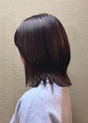 スプリング・ミディアムレイヤー