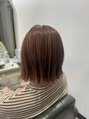 プツンとボブ/イルミナカラー