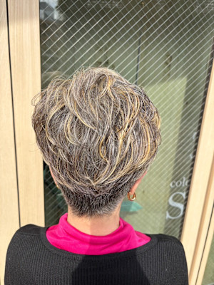 Color assort SEPIA×スタイル