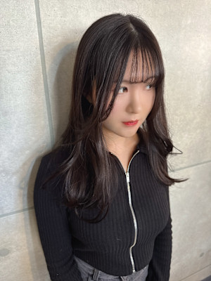 stella hair salon×スタイル