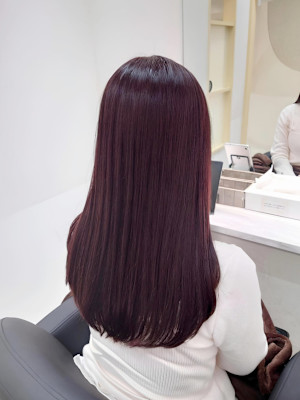 上品な艶感！バーガンディカラー【北條】