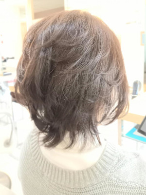 ウルフレイヤーボブ