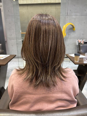 ソフトウルフミディ