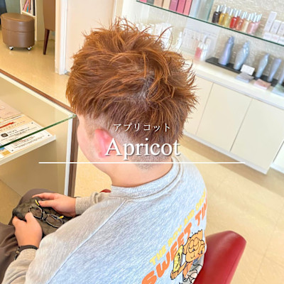 アプリコット