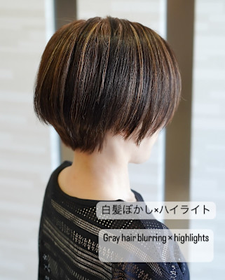白髪ぼかし×ハイライト