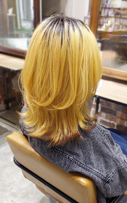 ミディアムウルフ