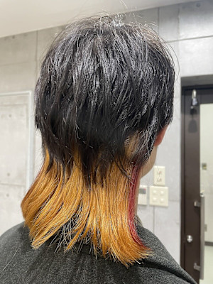 インナー2色使いカラー