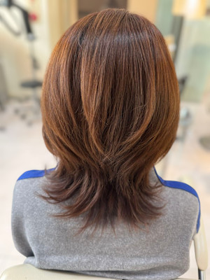 ウルフレイヤー