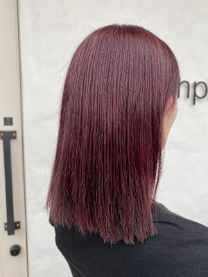 ボルドールビー