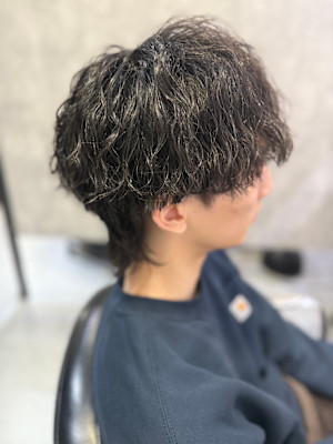 【SOLVE 山田】ミニウルフ／ツイストスパイラル