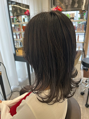 ★お洒落★アンニュイウルフ×透明感グレー