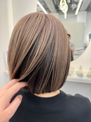 アウターカラー/チェスナットブラウン/ボブ