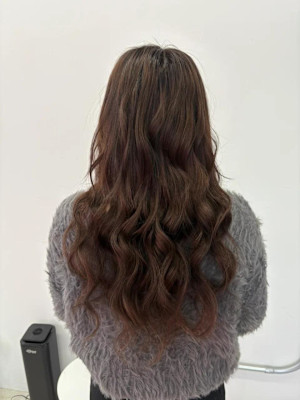 ブラウンロングヘアー