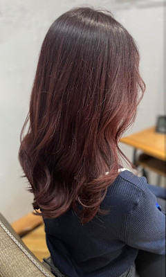 ブリーチ毛にボルドールビー