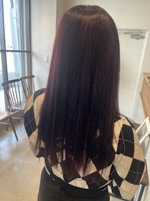 ボルドールビーcolor